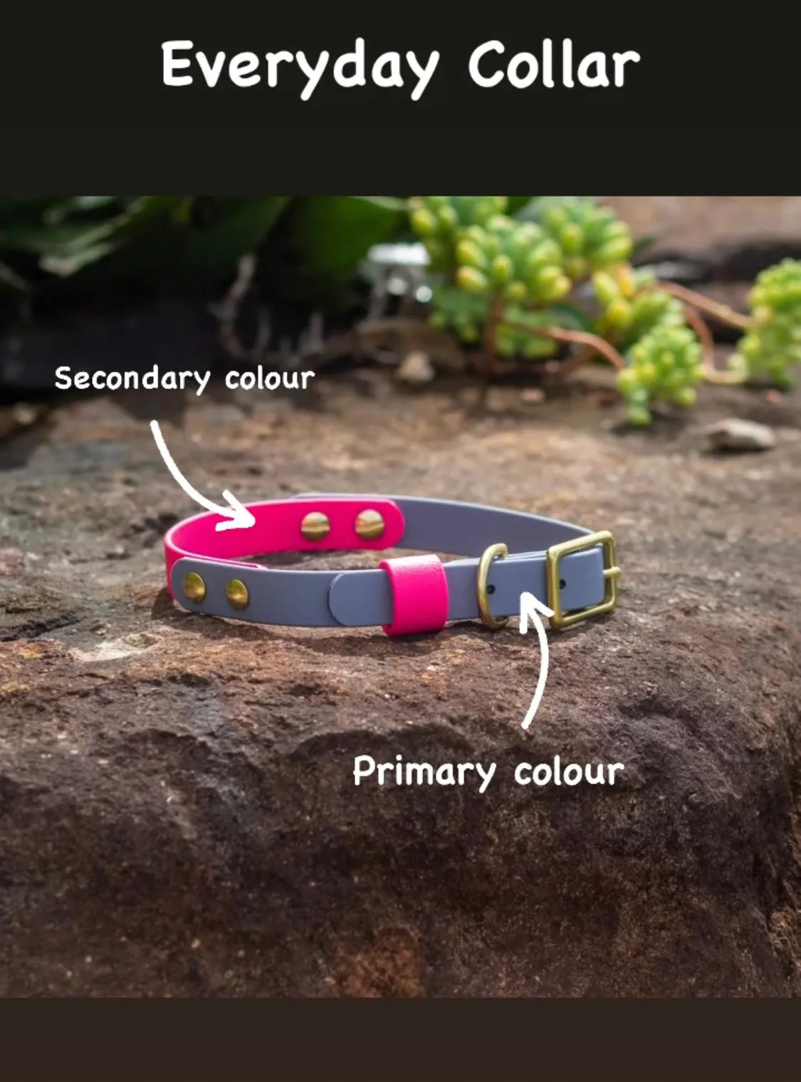 20mm Everyday Collar