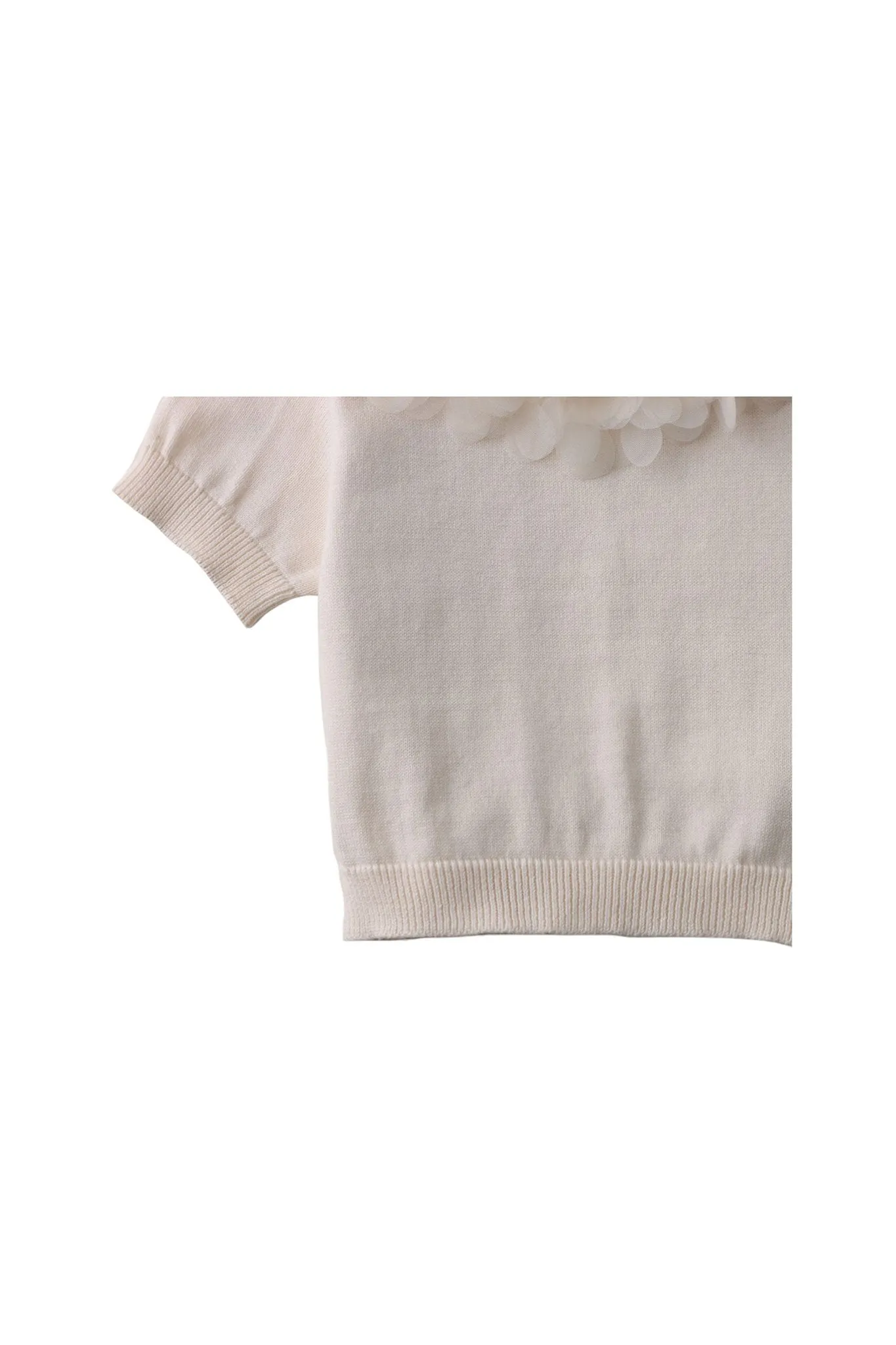 Gingersnaps Knit Shell Top with Detachable  Collar