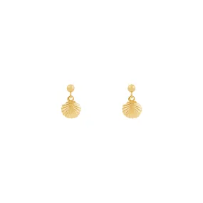 Tiny Shell Earrings - Gold