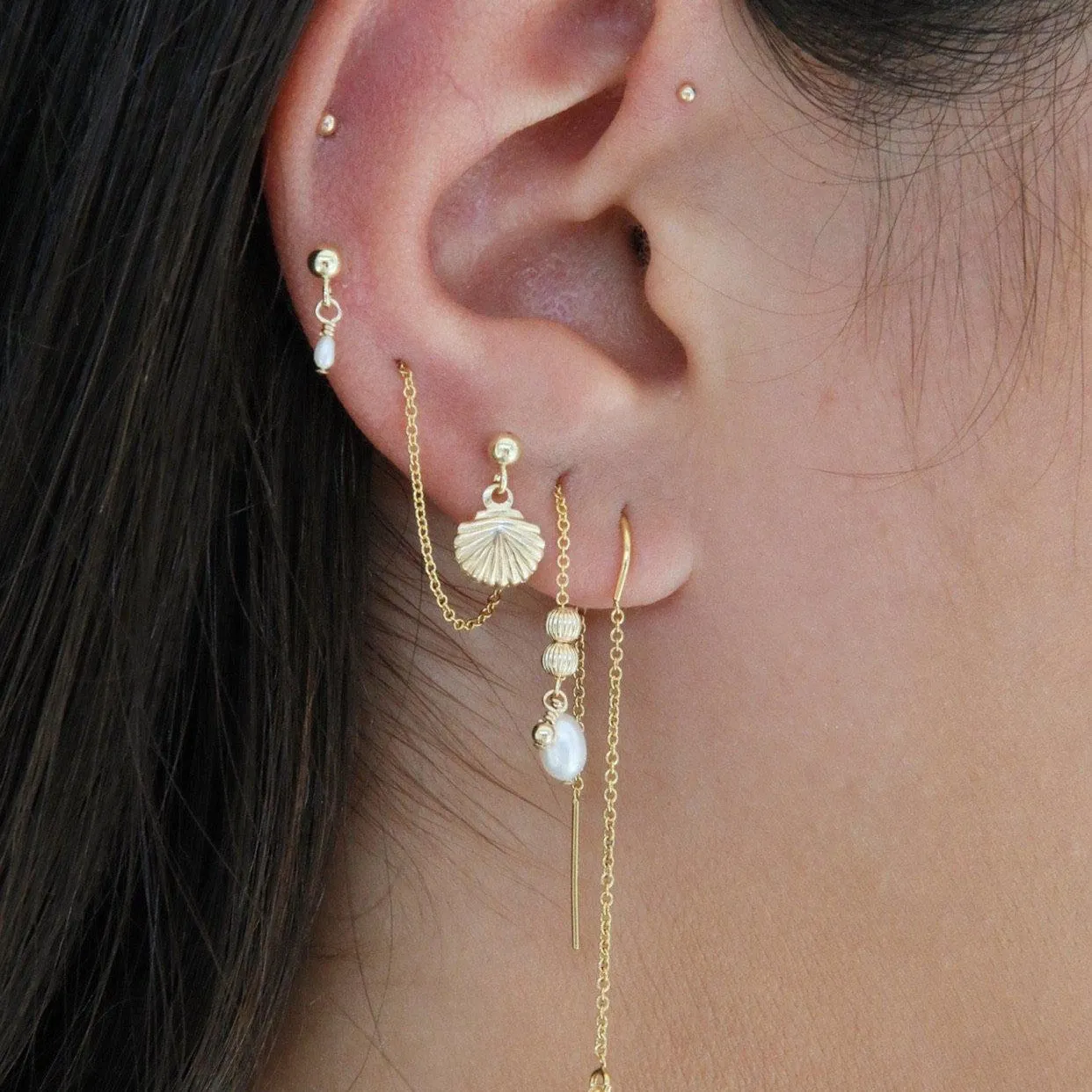 Tiny Shell Earrings - Gold